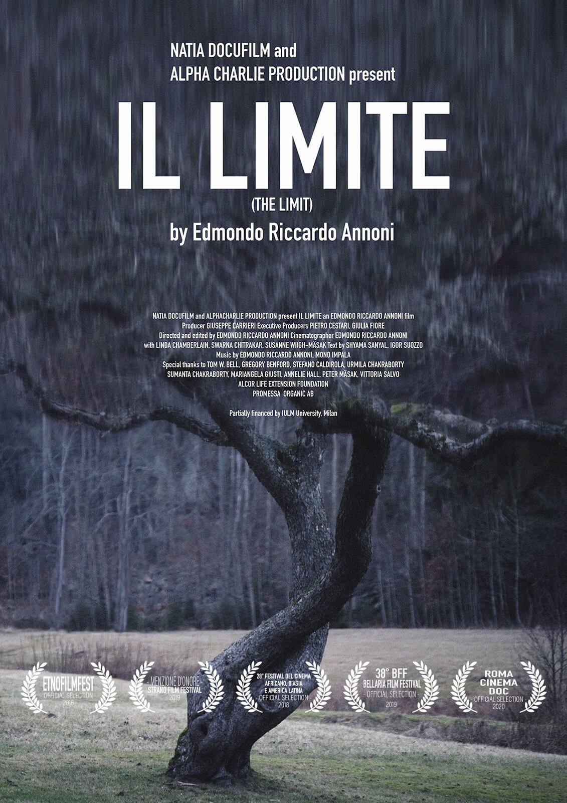 edmondo annoni - Il Limite