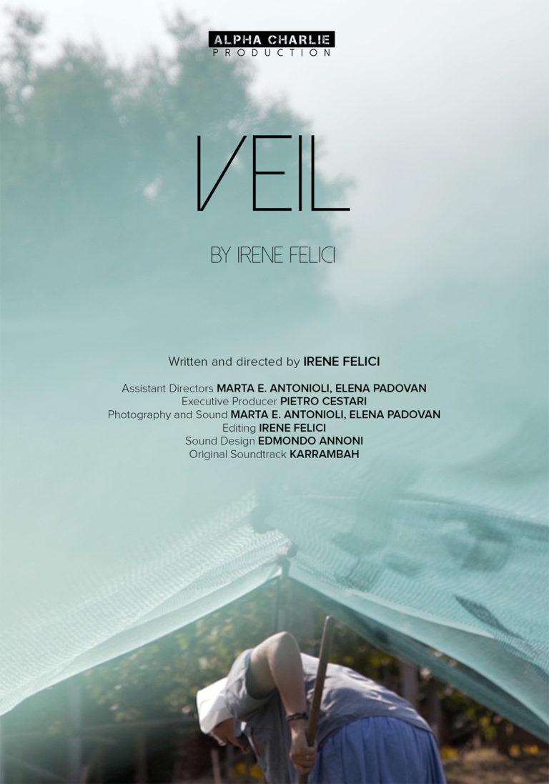 edmondo annoni - Veil (Original Motion Picture Soundtrack)