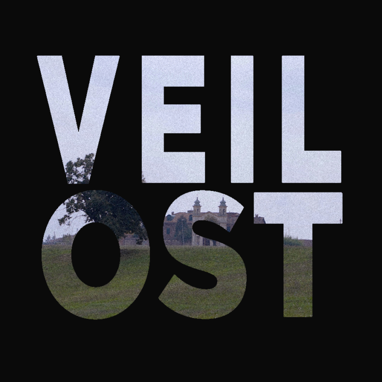 edmondo annoni - Veil (Original Motion Picture Soundtrack)